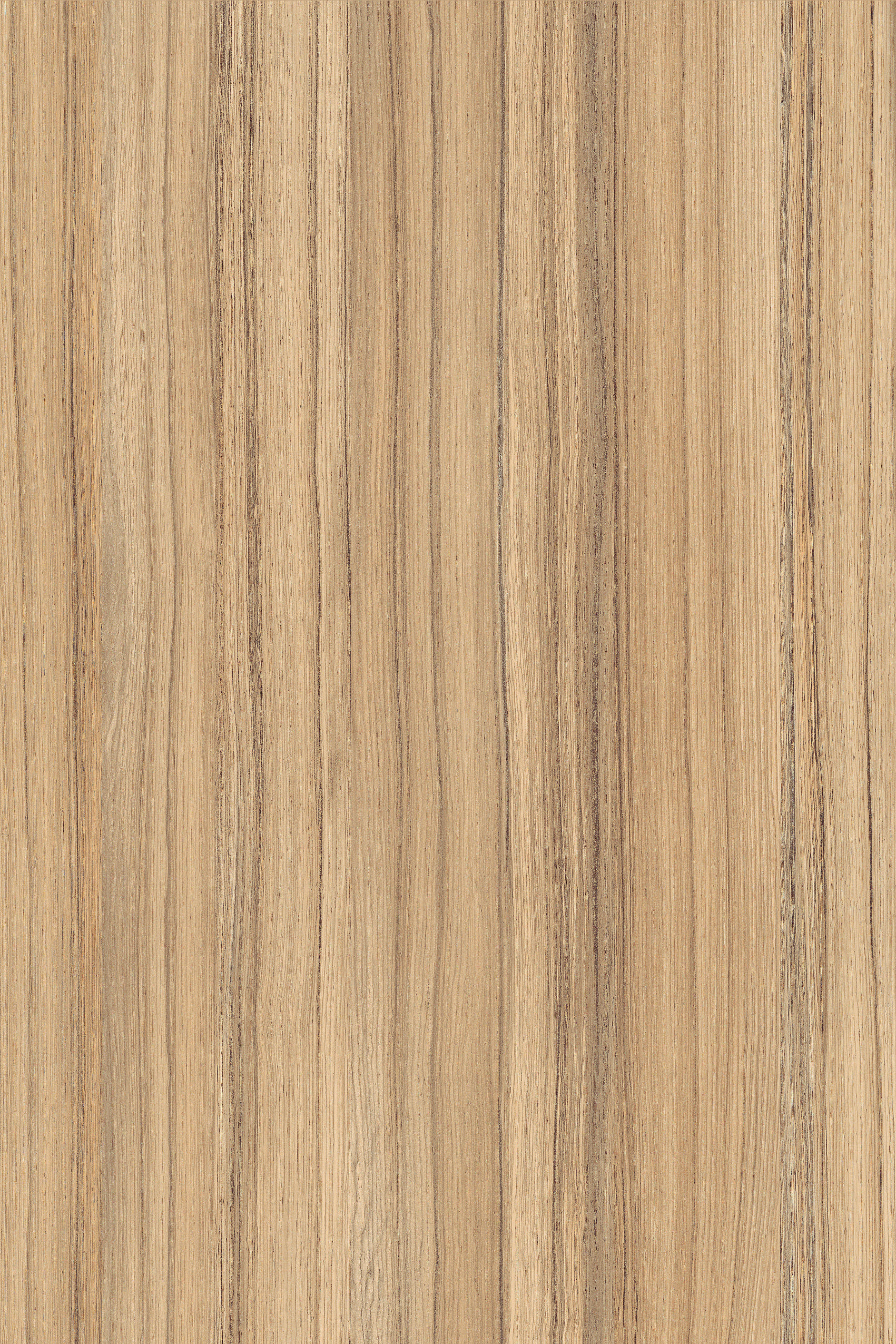 Pvc Bolo DAC - PVC COCO BOLO (H3012) 23x0.40x200mts
