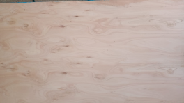 TERCIPLACK Fen. Euca 18mm 3/3 122 x 244cm