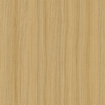 Tap. Preenc. ROBLE AMERICANO 50mmx50mts
